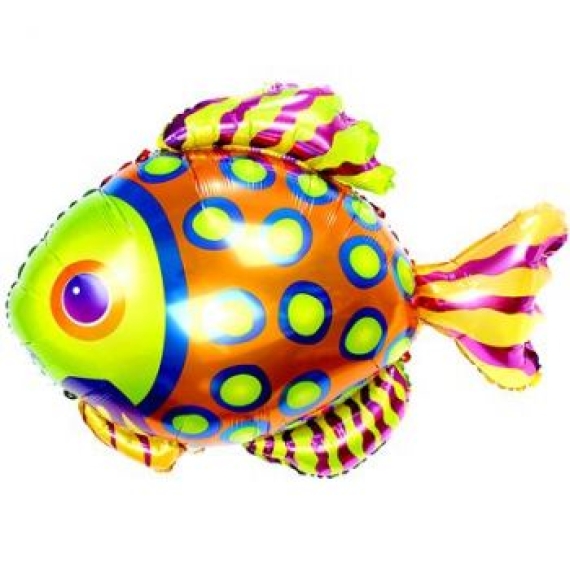 Разноцветная рыбка 